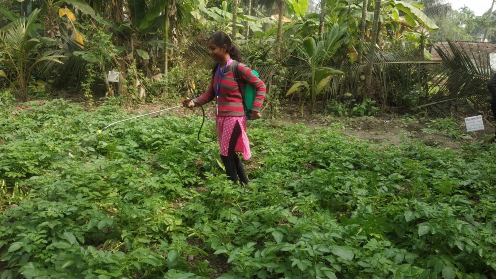Diploma in Agriculture