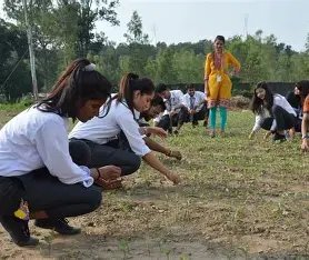 Agriculture Career Opportunities
